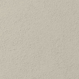 White Duck P16B1